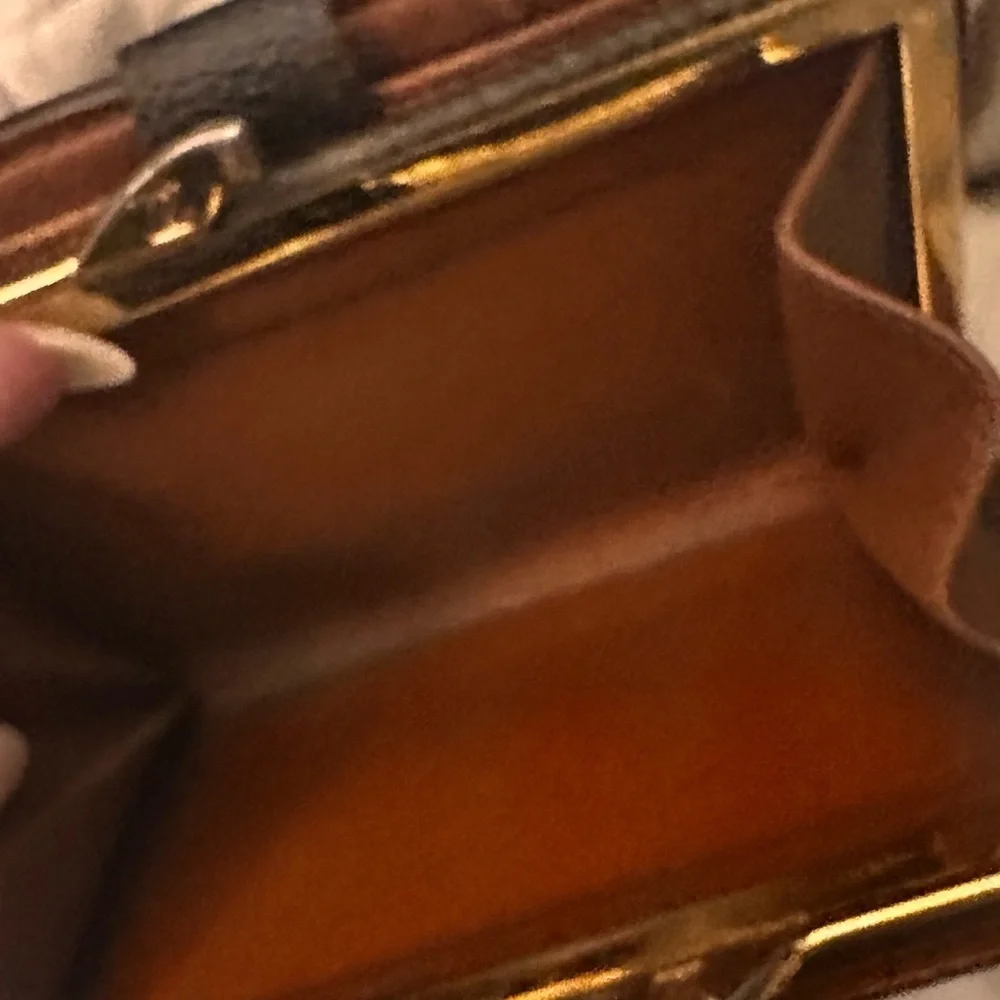 Louis Vuitton stylish louis
